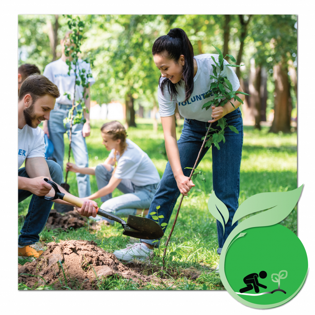 Sustainability I New Zealand Kitset Assembly Services